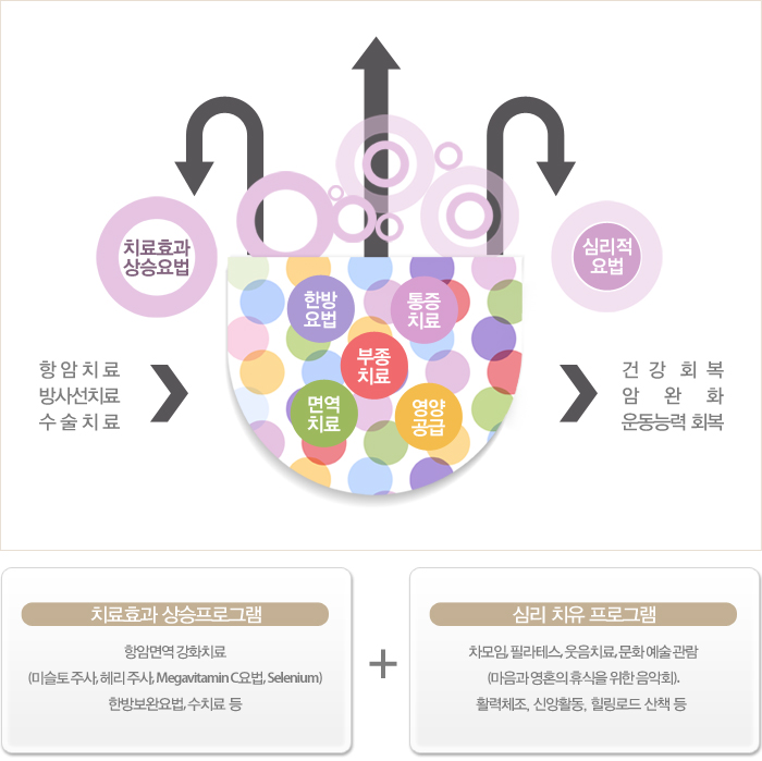 -치료효과 상승프로그램:항암면역 강화치료(미슬토주사, 헤리주사, Megavitamin C요법, Selenium), 한방보완요법, 수치료 등. -심리 치유 프로그램:차모임, 필라테스, 웃음치료, 문화 예술 관람(마음과 영혼의 휴식을 위한 음악회), 활력체조, 신앙활동, 힐링로드 산책 등